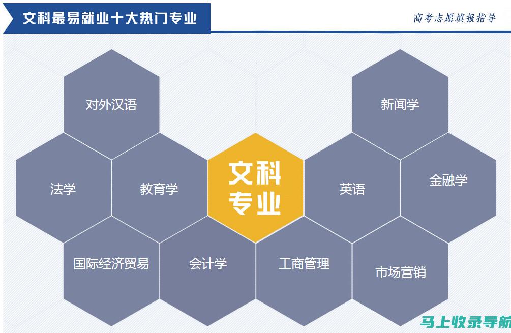 专业解读：SEO网站推广公司的优势与劣势分析